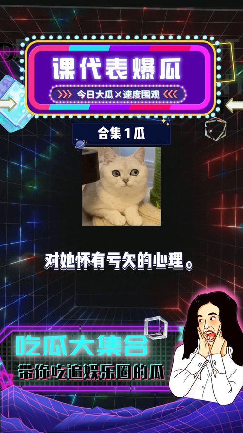 吃瓜娱乐圈内娱课代表